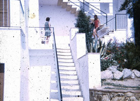 diapositive sans retouche, remarquer toutes mes taches sur l'image